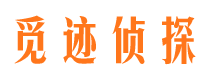 田林市婚姻调查